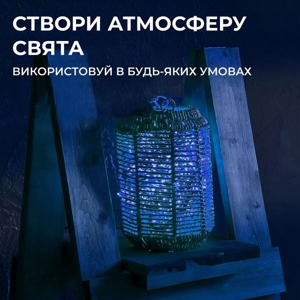 Гірлянда Кінський хвіст 200 LED 10 ниток 2 м синій GarlandoPro 1733010BL фото