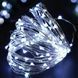 Гірлянда Роса нитка 30 LED 3 м на батарейках холодний білий GarlandoPro 30L3MWW фото 1