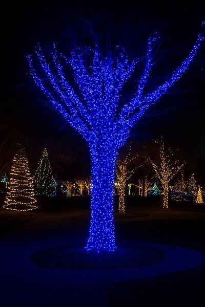 Гірлянда Різдвяна фея вулична 1000 LED 100 м 8 режимів роботи білий провід Синій Garlando CF1000L100MWBL фото