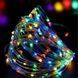 Гірлянда Роса нитка 30 LED 3 м на батарейках зелений/різнокольоровий GarlandoPro 30L3MGML фото 1