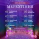 Гірлянда-штора 144 LED 16 ниток 3х2 м різнокольоровий GarlandoPro ZWM2320LEDML фото 10